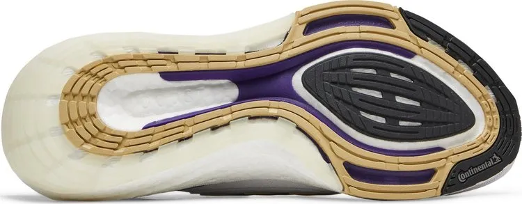 Adidas UltraBoost 21 'NCAA Pack - Washington', purple