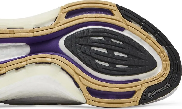 Adidas UltraBoost 21 'NCAA Pack - Washington', purple