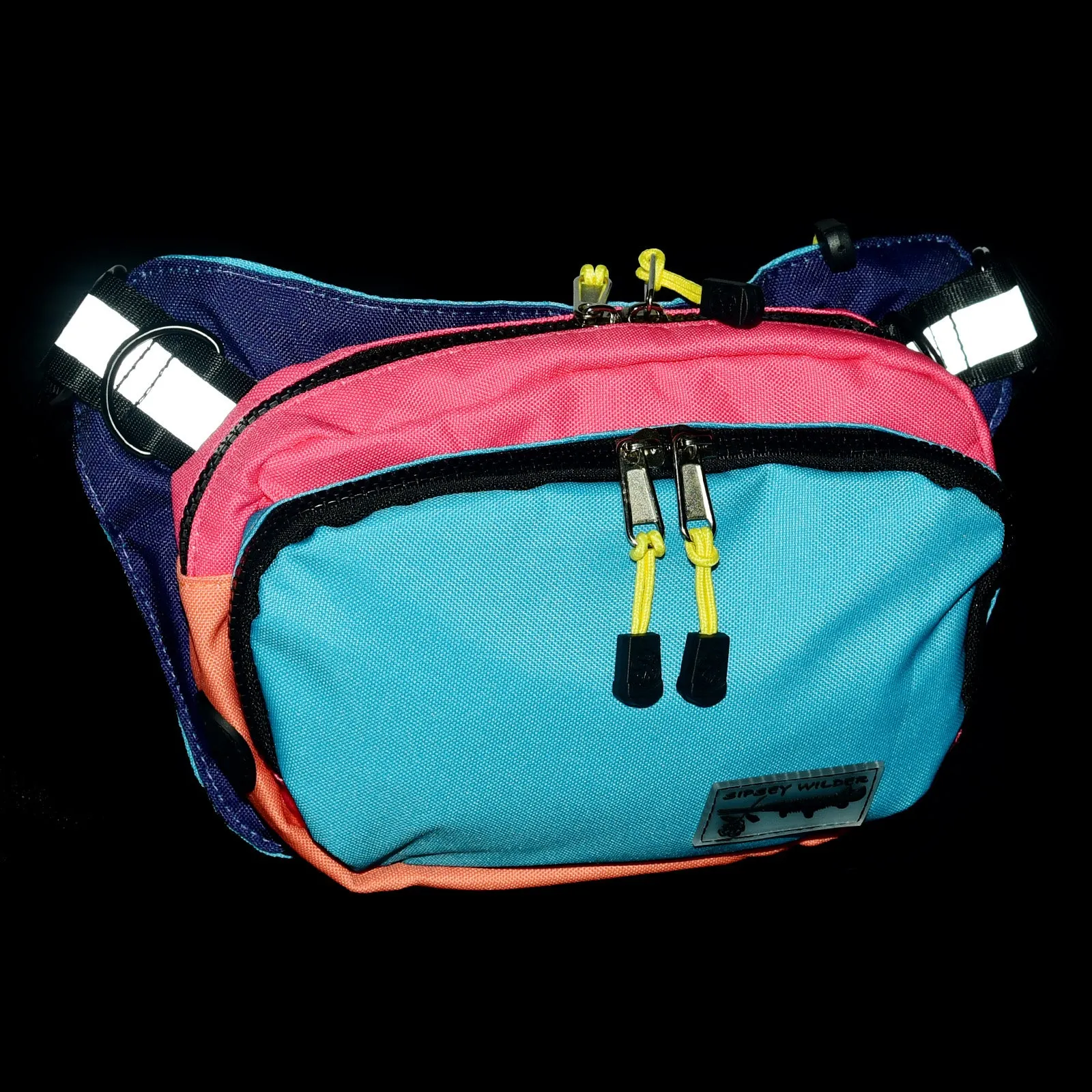 Bayside Rover Hip Pack 2.0
