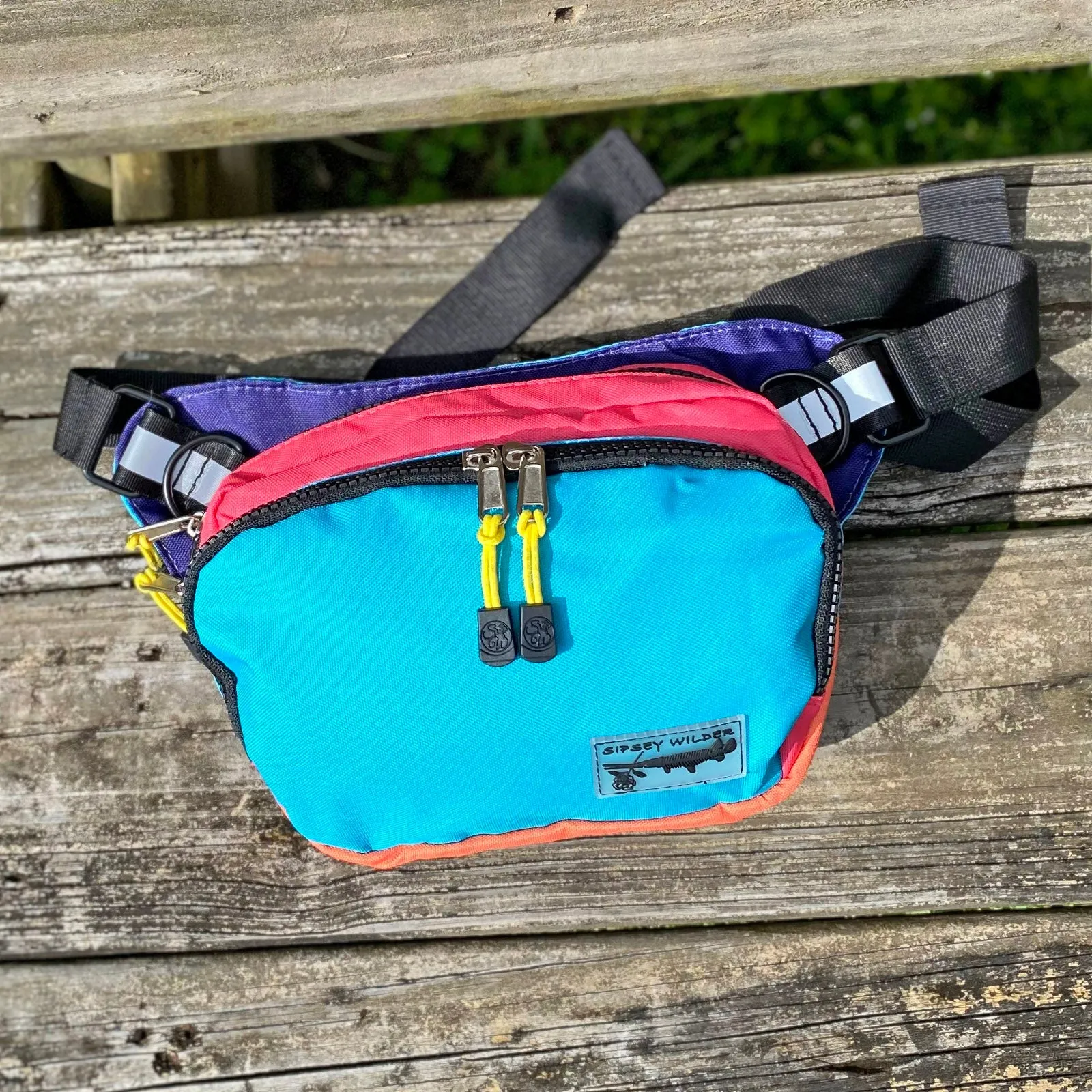 Bayside Rover Hip Pack 2.0