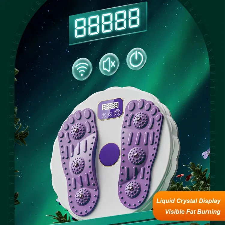 Rotating Waist Disc Twist Machine with Electronic Counter Magnetic Massage for Body Shaping, Color: White   Purple