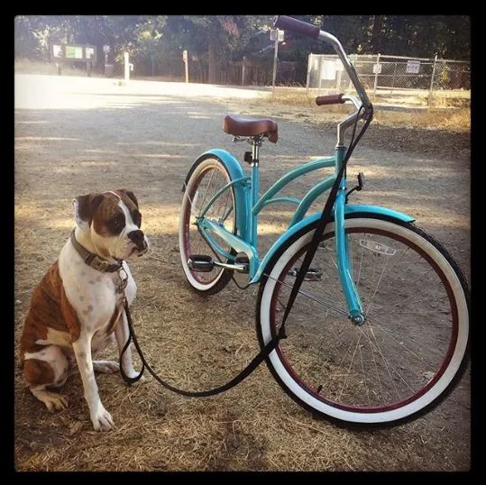 sixthreezero Scholar Women 7 Speed  26" Cruiser Bicycle