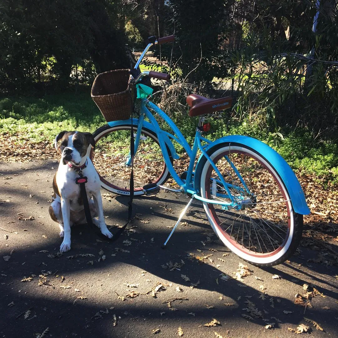 sixthreezero Scholar Women 7 Speed  26" Cruiser Bicycle