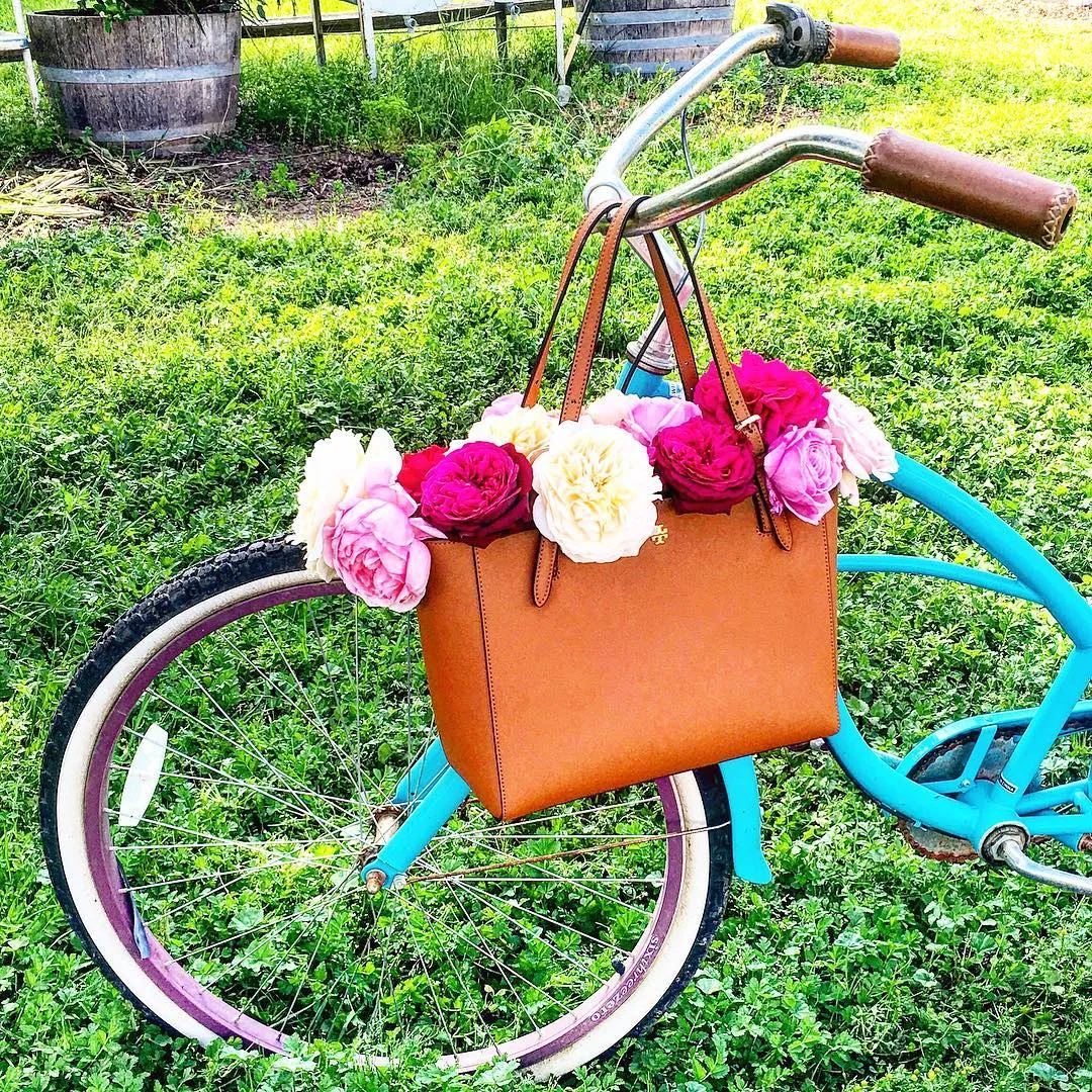 sixthreezero Scholar Women 7 Speed  26" Cruiser Bicycle