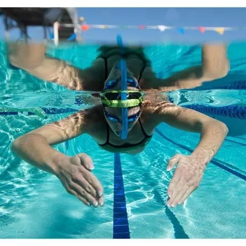 SLAF Training Snorkel