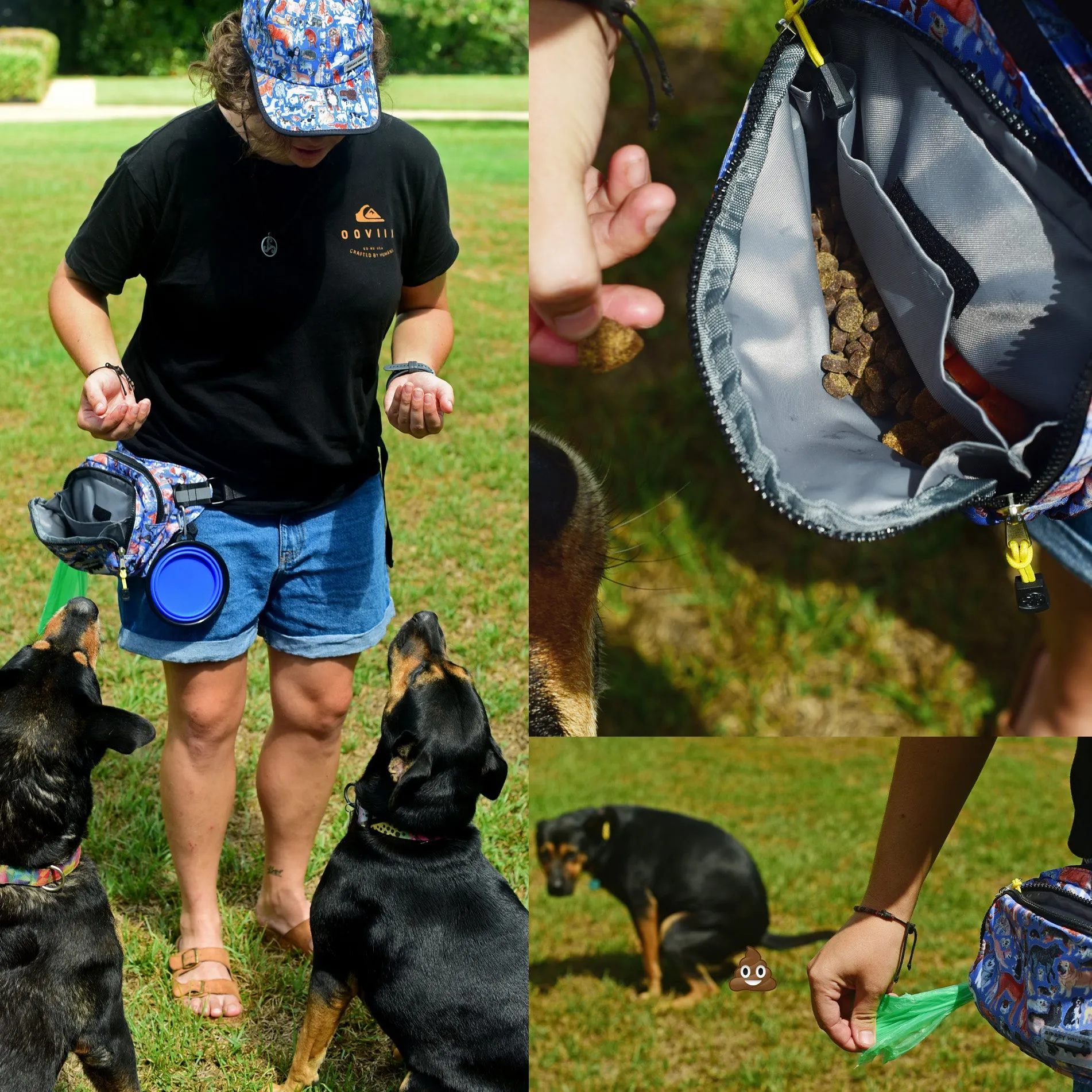 Stay Pawsitive Rover Hip Pack 2.0