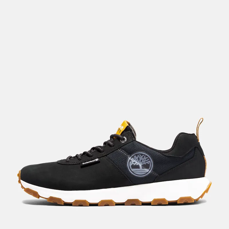 Winsor Trail Sneaker For Men